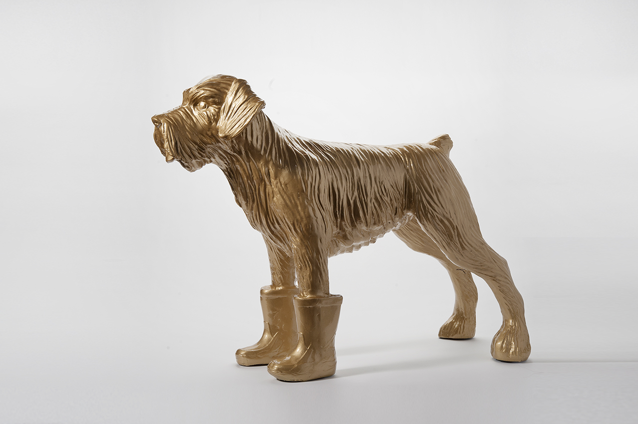 Cloned golden Schnauzer with plastic boots