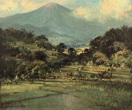 Landscape with vulcano and sawahs 