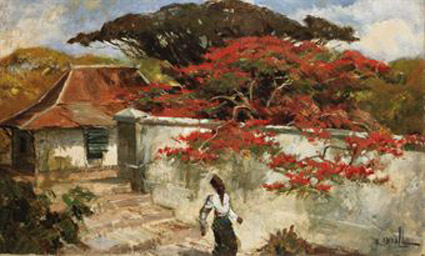 A man under a flamboyant tree
