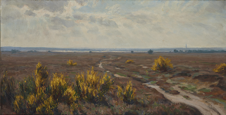 Heide met bloeiende brem, Blaricum Heide met bloeiende brem, Blaricum