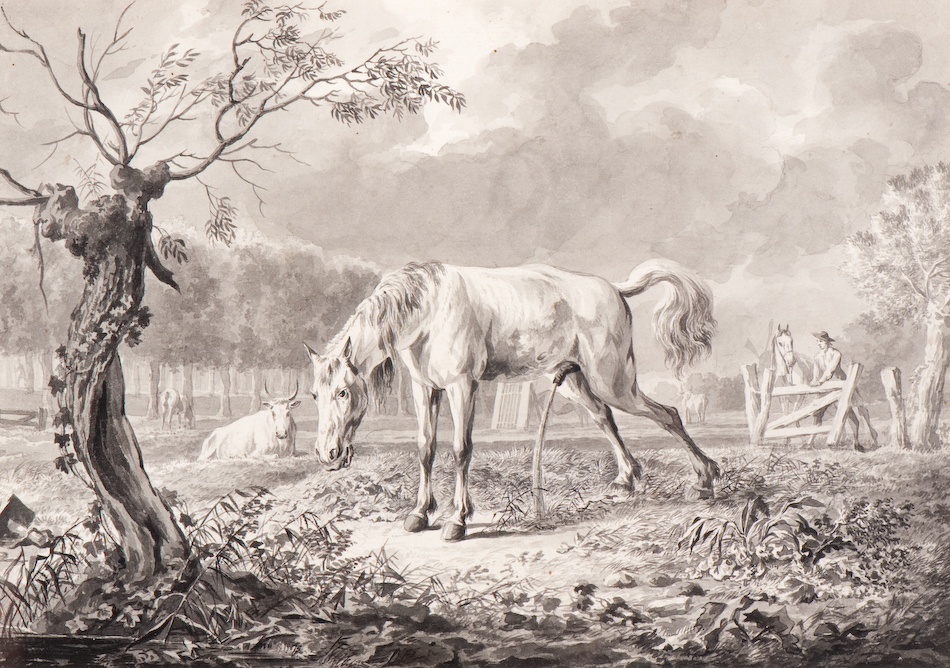 Waterend paard