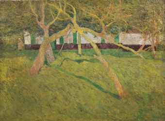 Orchard
