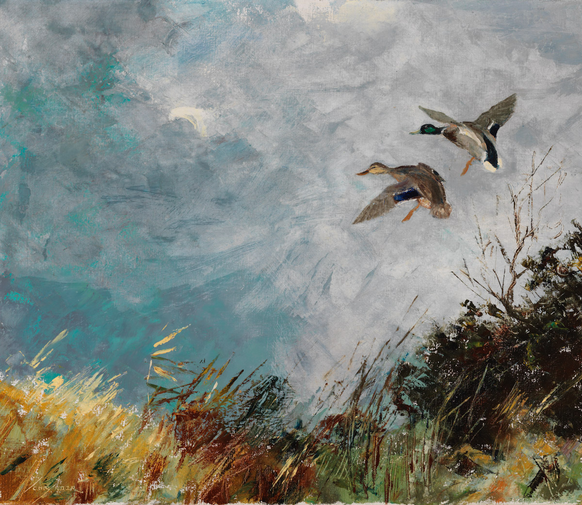 Vogelvlucht