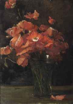 Papavers