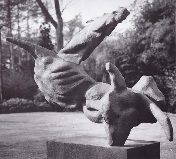 Paard