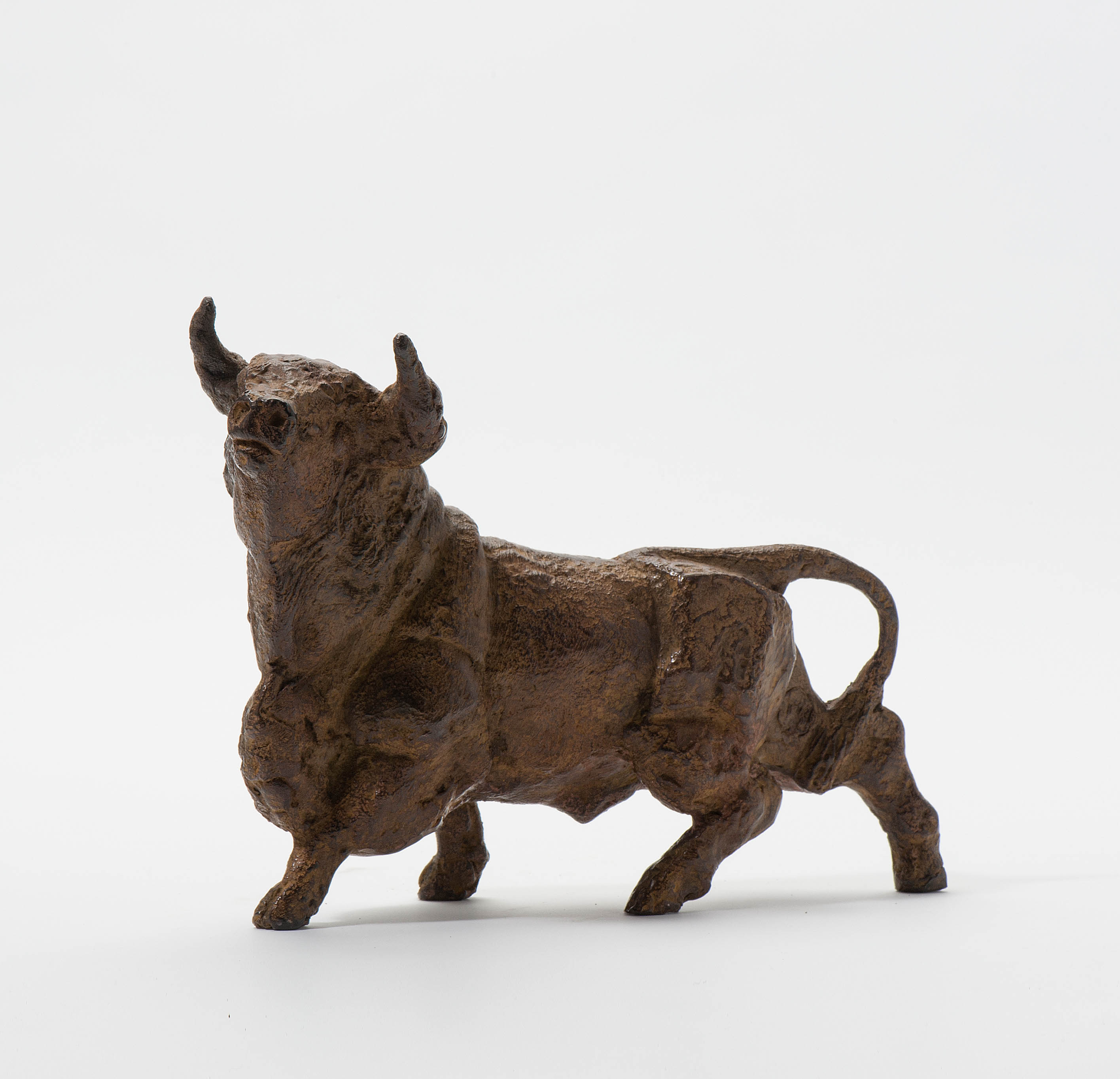 Spaanse stier