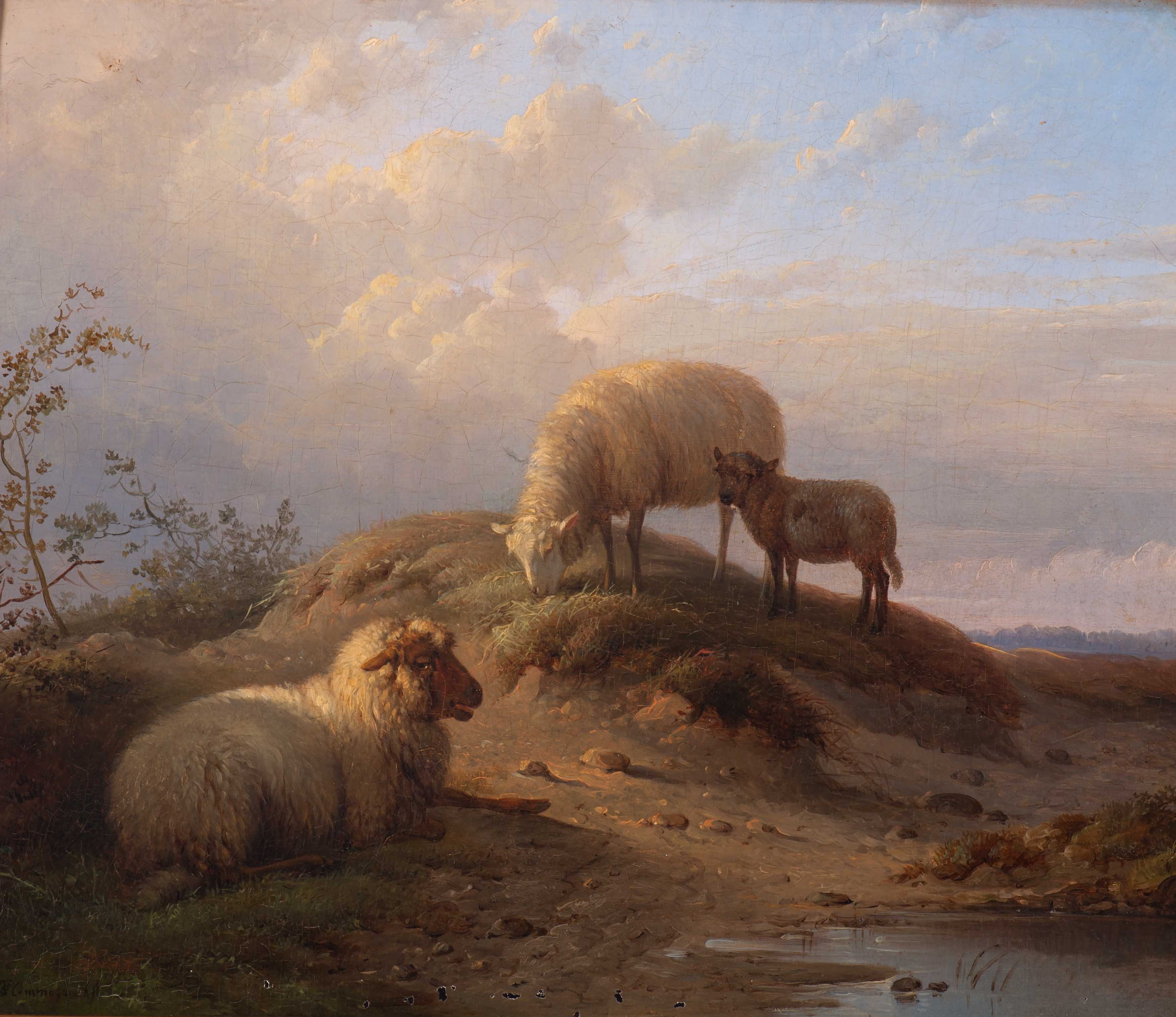 Ooien met lammetje bij een poel