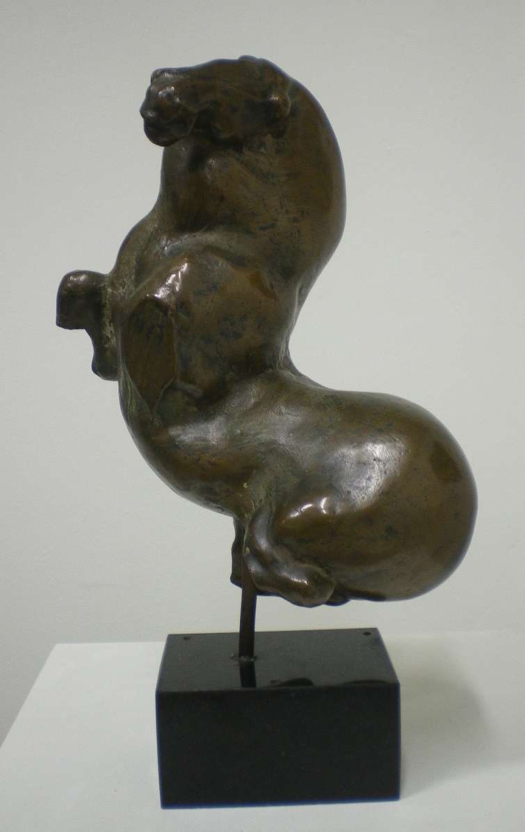 Steigerend paard Steigerend paard