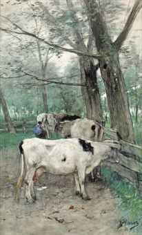 Milking time